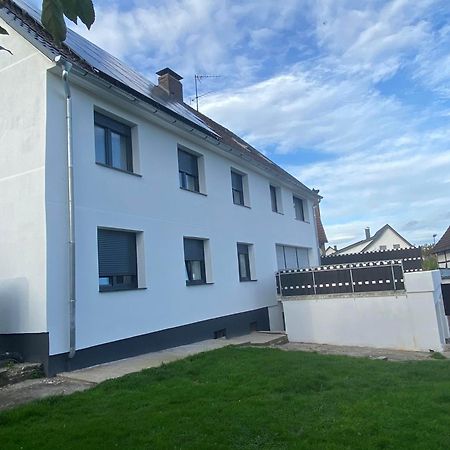 Apartments Feniks Blomberg  Exterior photo